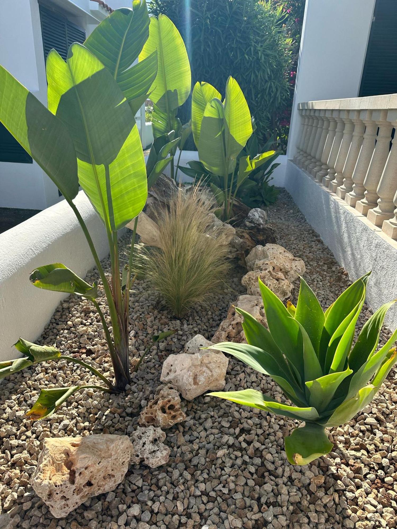 Villa Diplomado 에스 메르카달 외부 사진